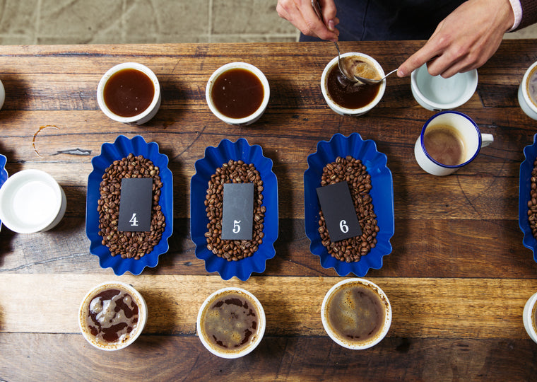 What We Talk About When We Talk About Cupping