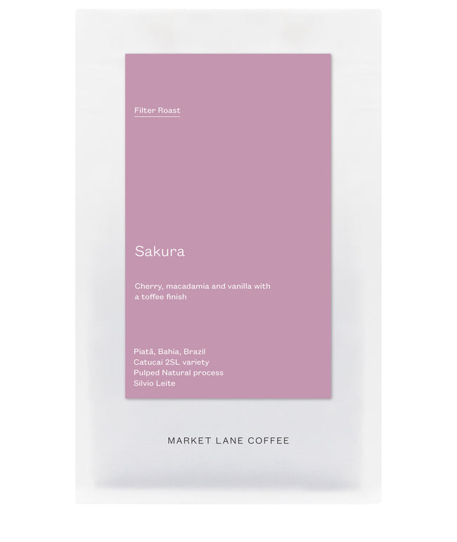 Sakura-Market Lane Coffee