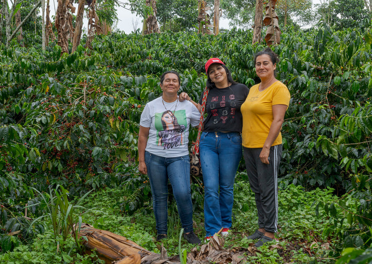 Celebrating the Extraordinary Women Producers of AMACA