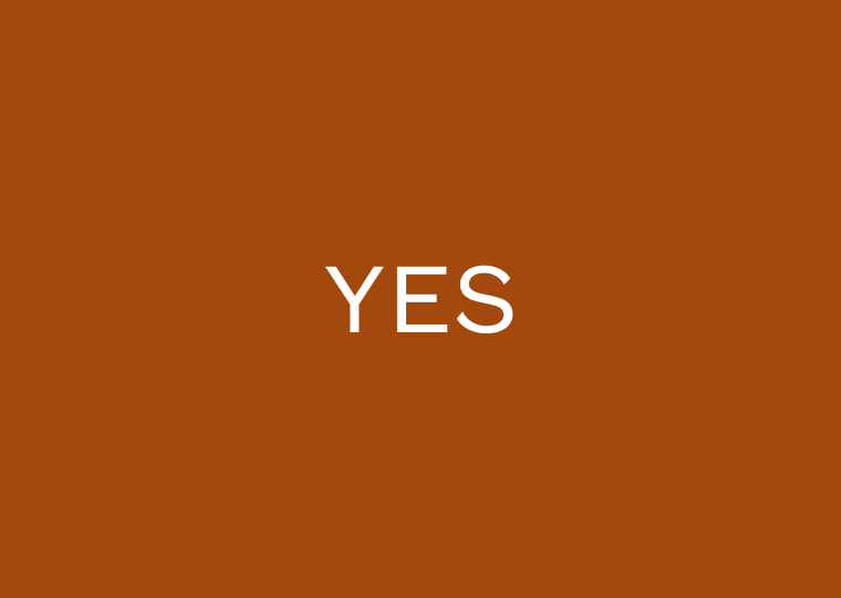 We support the Yes campaign