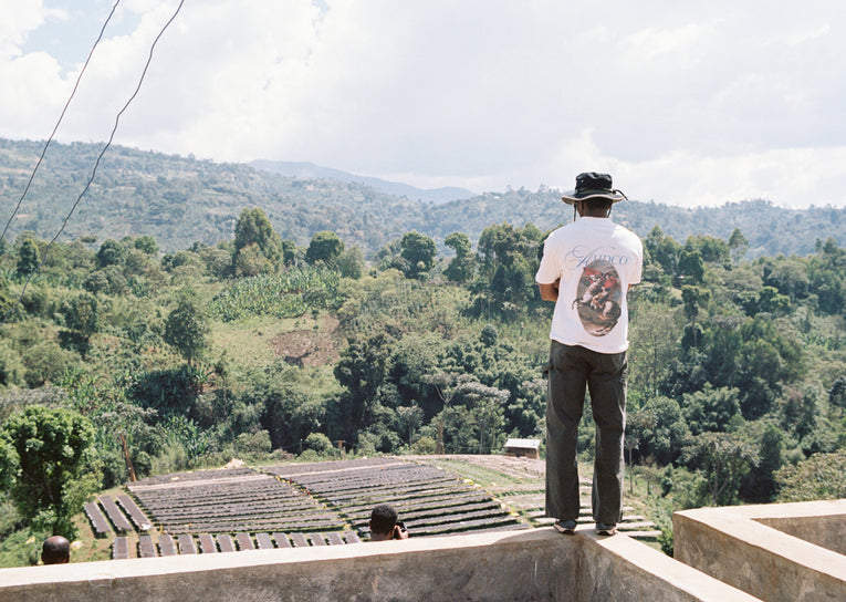 Limited Release Coffee: Gara Agena from Ethiopia