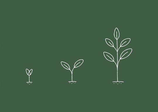 How We Became Carbon Neutral