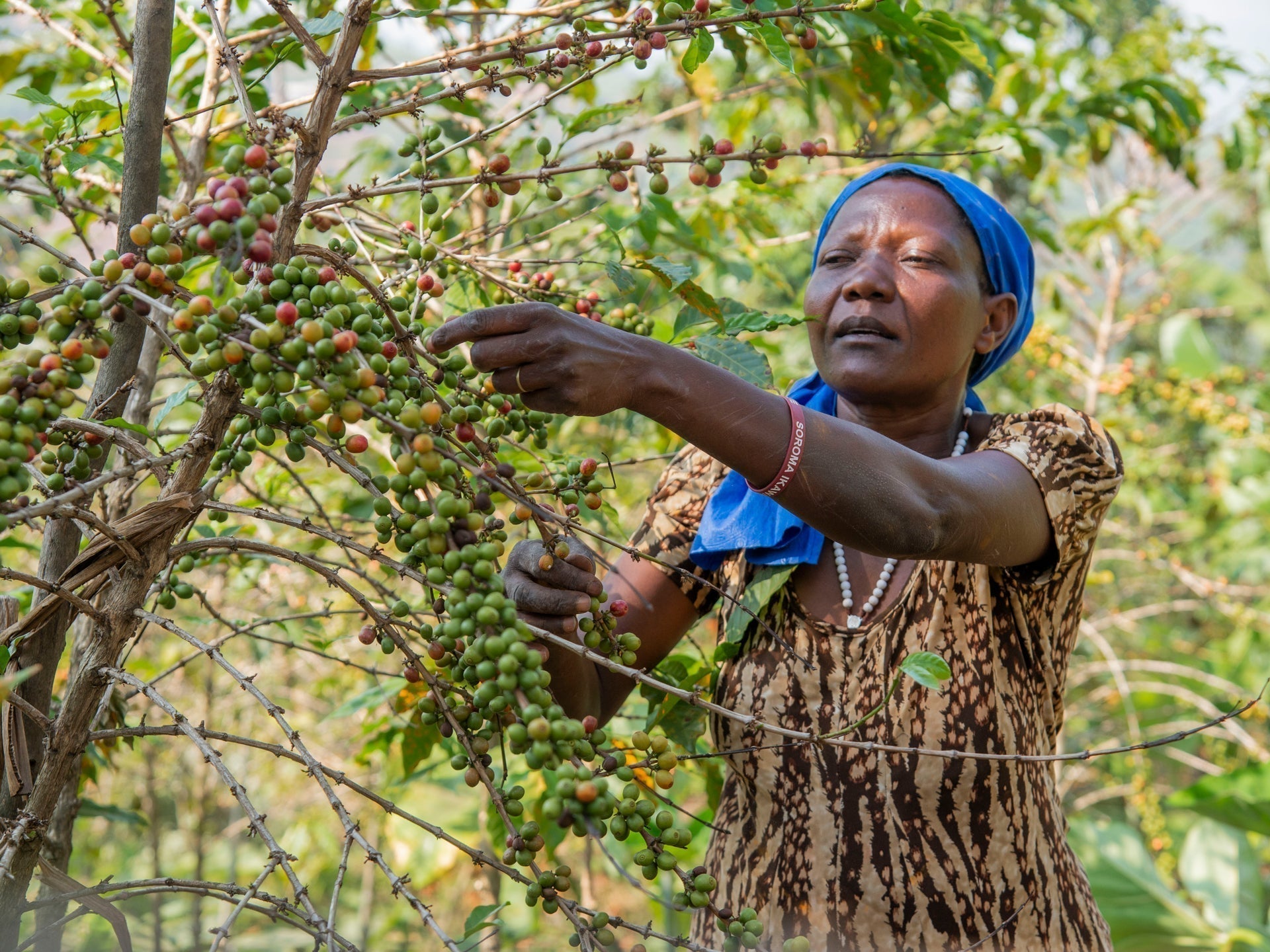 Women in Coffee