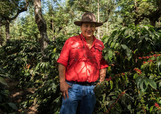 Meet: Ricardo Zelaya of Santa Clara