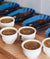 Coffee Class: Learn How To Roast Coffee Beans (Japanese-Language)-Market Lane Coffee