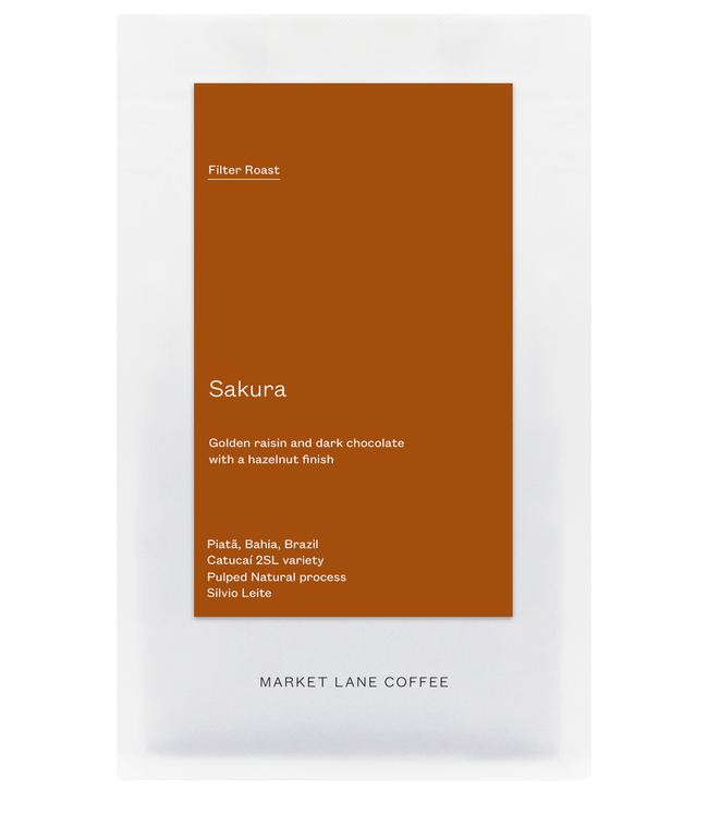 Sakura-Market Lane Coffee