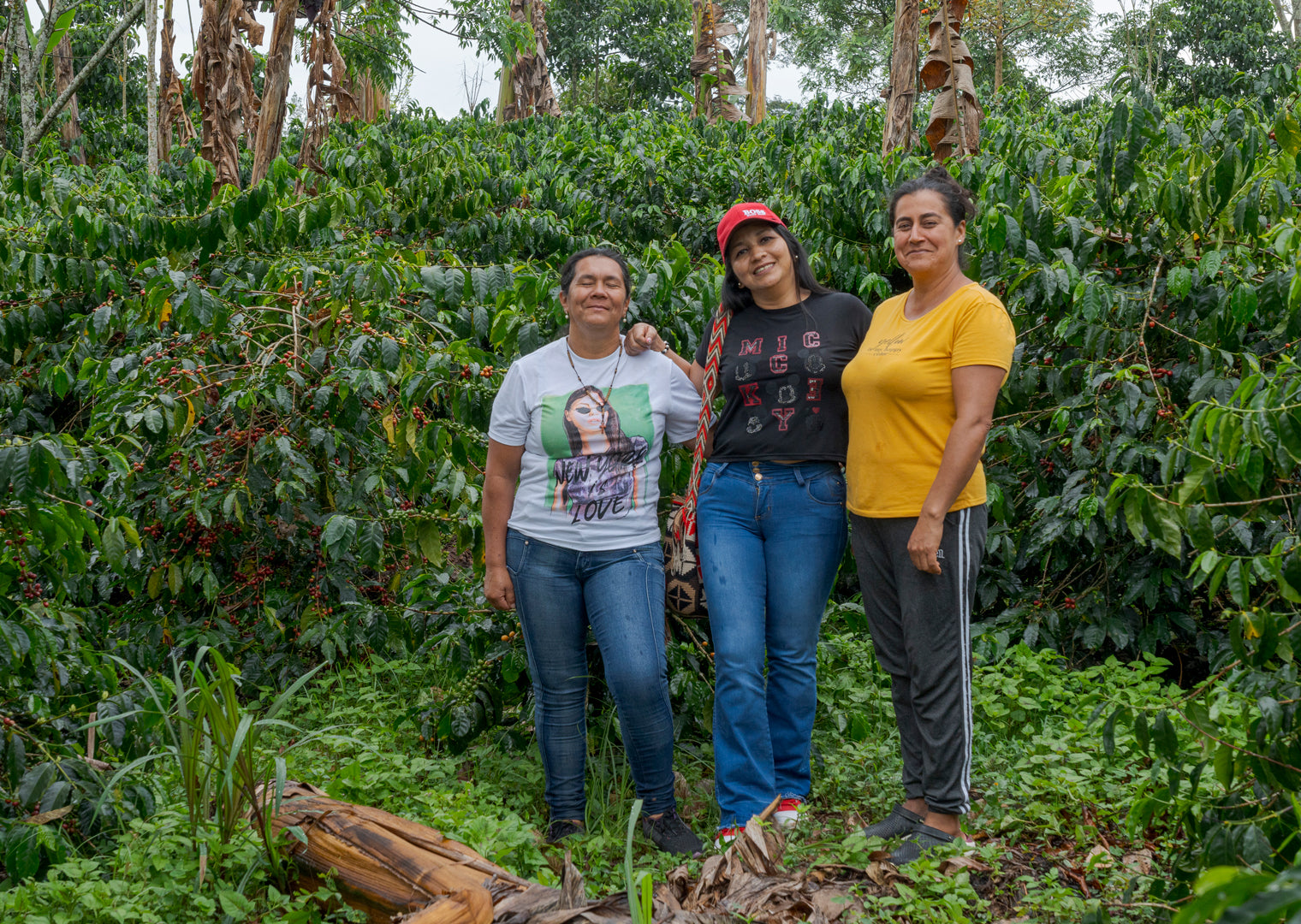 Celebrating the extraordinary women producers of the AMACA Cooperative in Cacau, Colombia.