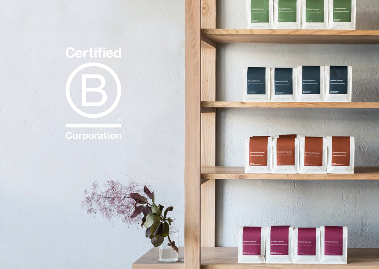 Unpacking our B Corp Certification
