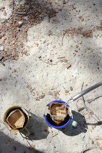 Coffee Drip Bags – Don Carlos-Market Lane Coffee