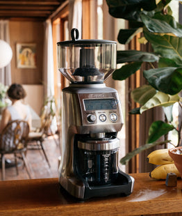 Breville espresso grinder best sale