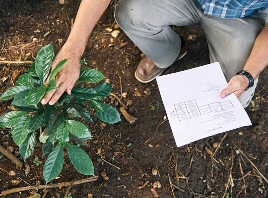 For every kilo of coffee we buy, we contribute to the not-for-profit World Coffee Research.