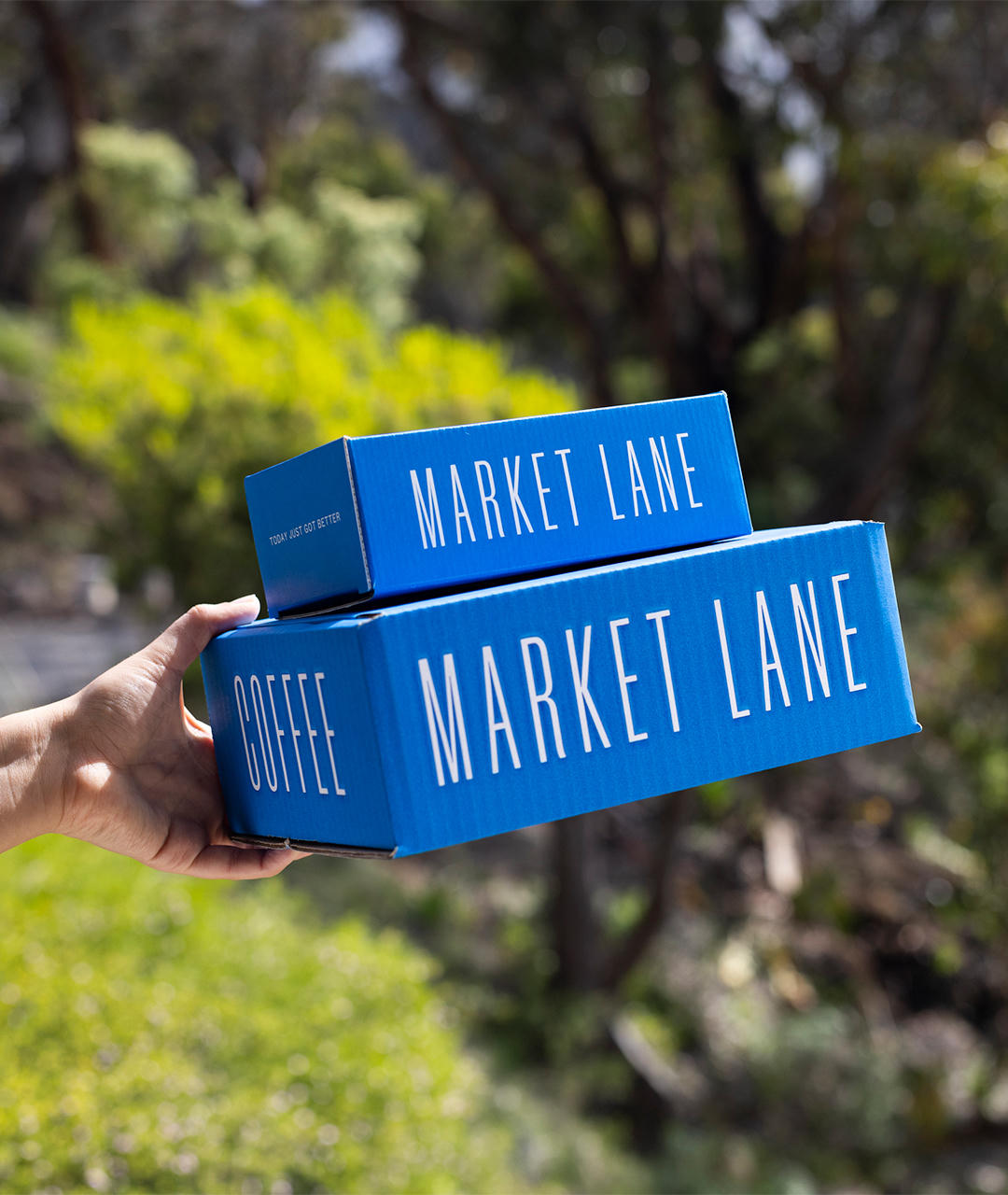 Gift 6-month Subscription – Ships every 2 weeks (12 deliveries)